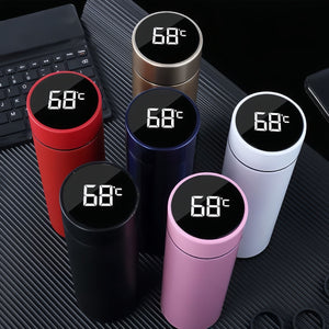 Perfact Corporate Gift - LED Temperature Bottle